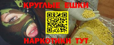 крисы Моздок