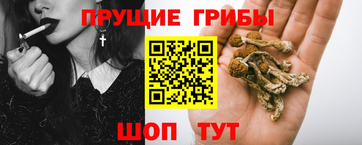 Псилоцибиновые грибы ЛСД Чернушка
