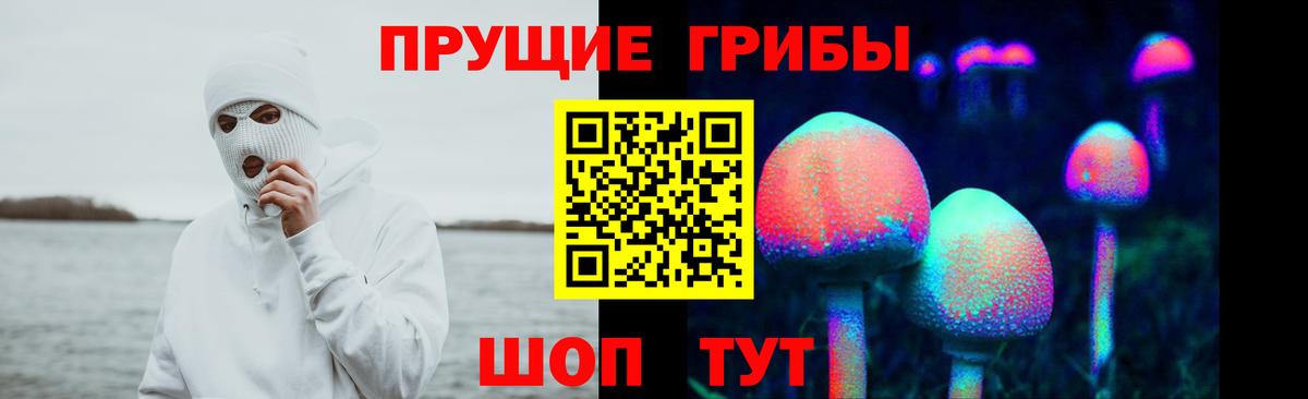 Псилоцибиновые грибы мицелий  Вход с VPN  наркотики  Чернушка 